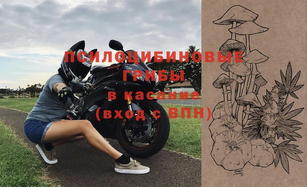 каннабис Белокуриха