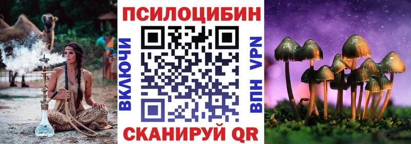 Псилоцибиновые грибы GOLDEN TEACHER  Гремячинск 